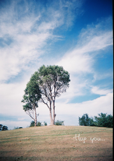 Hug tree._e0152210_1444981.jpg