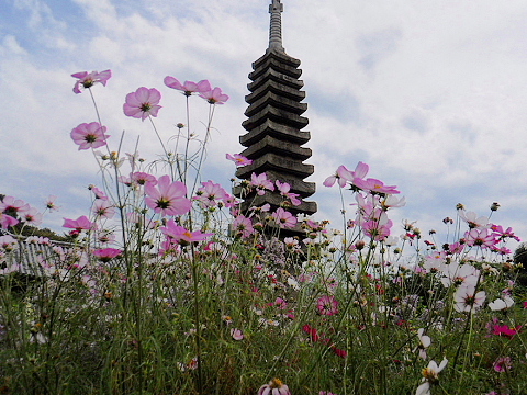 f0033614_2052010.jpg