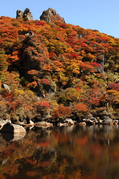 大船山紅葉登山_f0197319_13585999.jpg