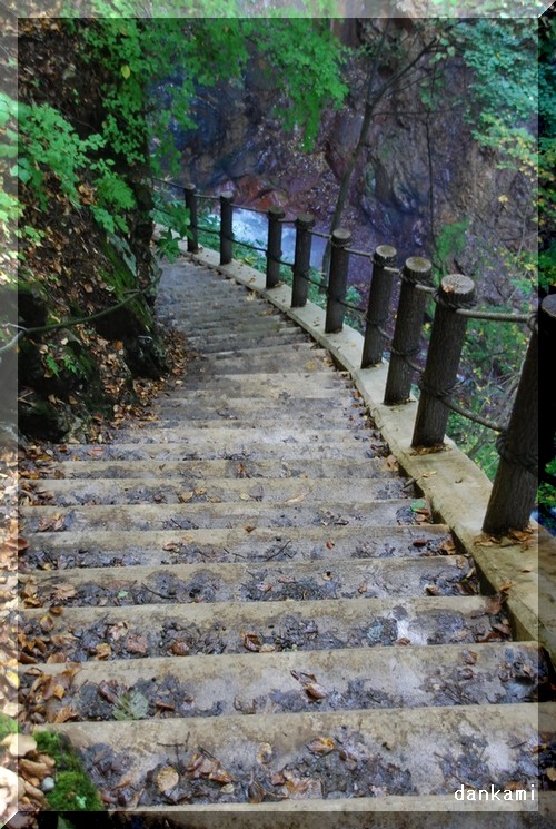c0013922_17442052.jpg