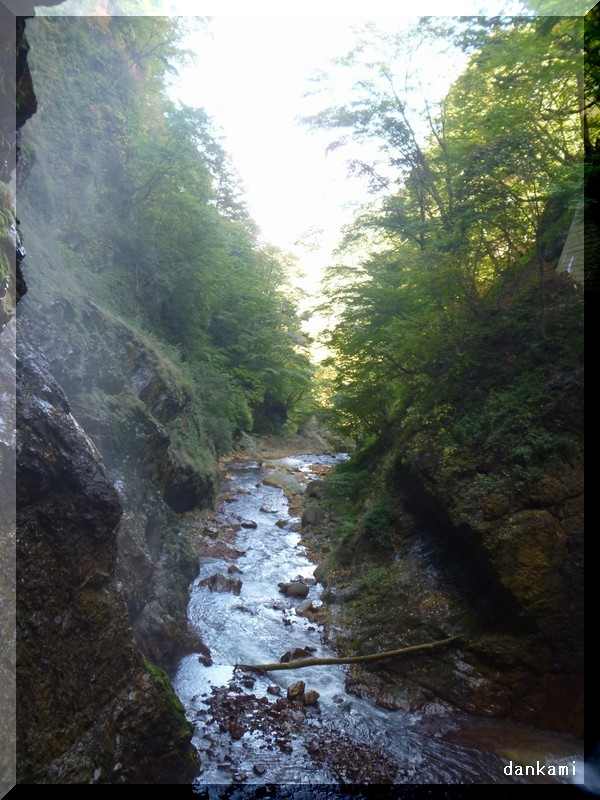 c0013922_1746383.jpg
