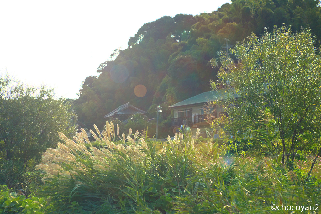 d0161322_233511.jpg