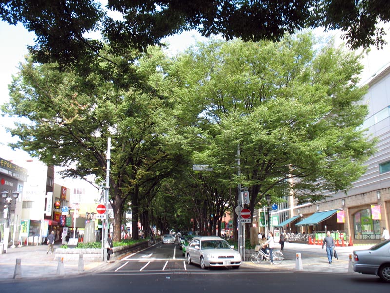 c0208328_15124317.jpg