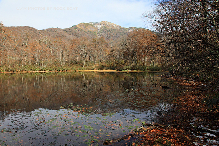 秋の刈込池-The autumn end-_a0166729_2128131.jpg