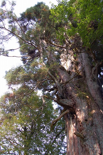 b0097729_1224230.jpg
