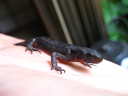b0207632_210125.jpg