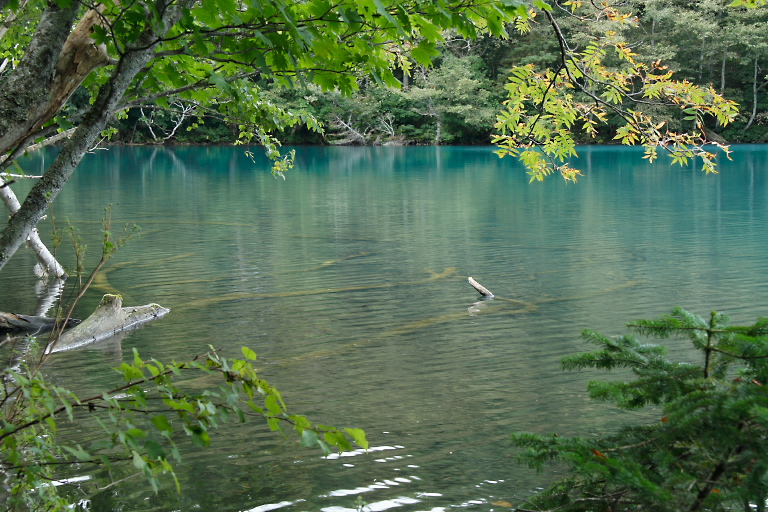 f0009433_2122642.jpg