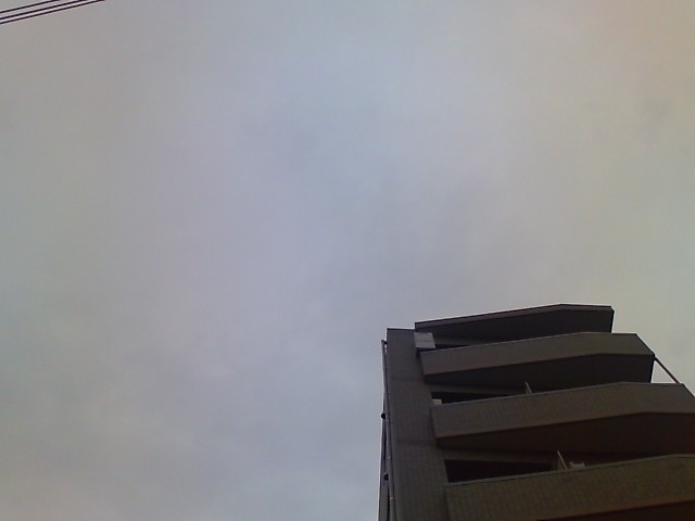 曇り。_a0022038_8132623.jpg