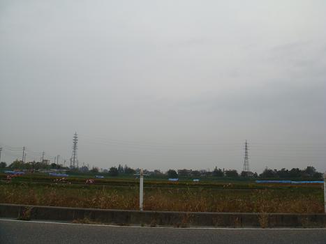 a0014840_2033677.jpg