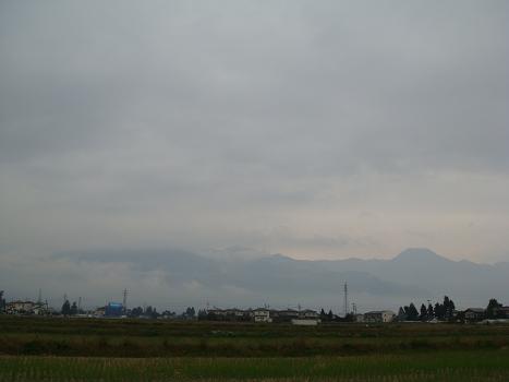 a0014840_2038495.jpg