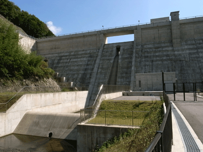 b0209142_20262435.gif
