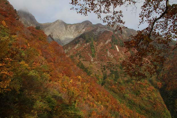 雨飾山、金山周回_a0115745_18311691.jpg