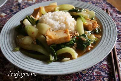 我が家の定番☆青梗菜と豆腐の炒め物_c0117570_17464257.jpg