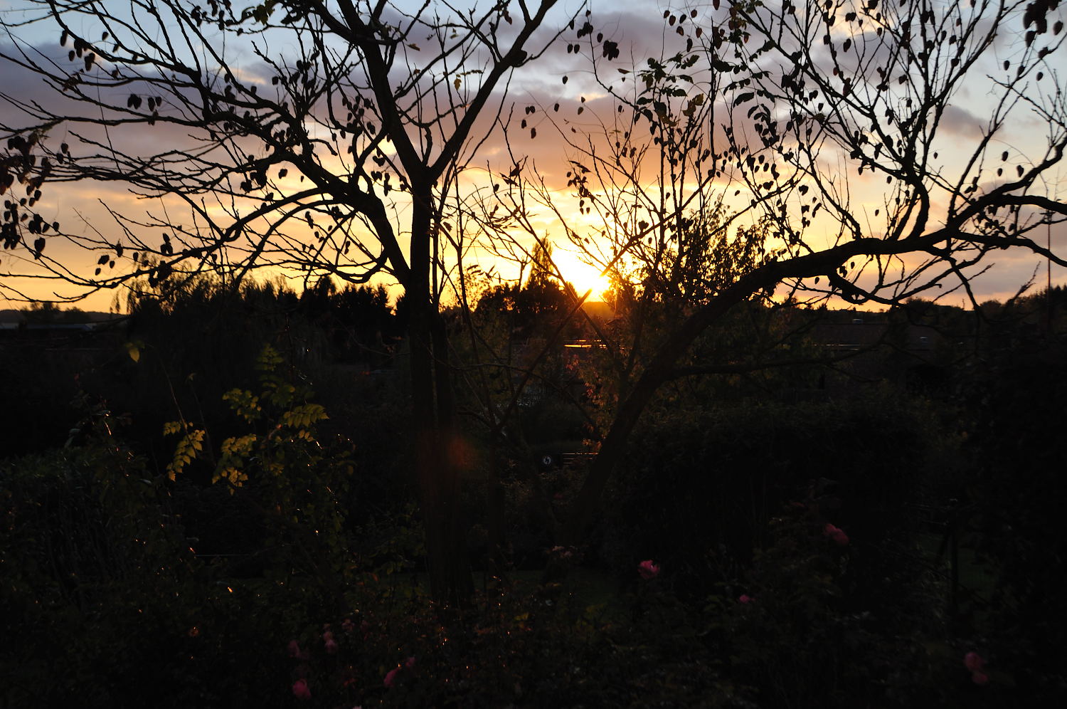 e0028272_5282013.jpg
