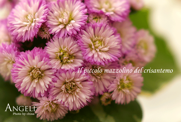 f0227975_9135873.gif