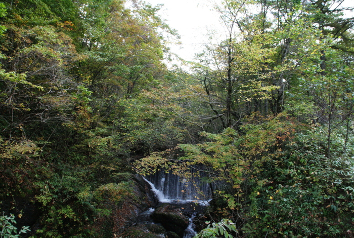 c0112479_06252.jpg