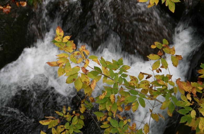 c0112479_0812.jpg
