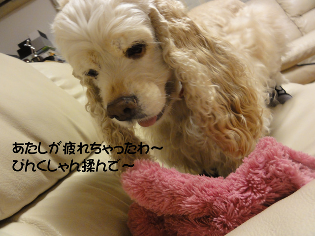 f0218182_211628.jpg