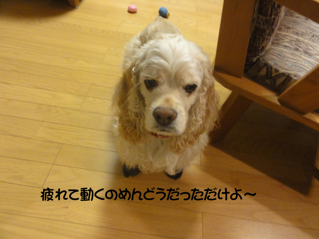 f0218182_21171977.jpg
