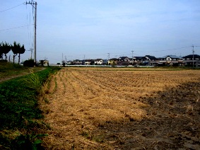 読書の秋！七輪陶芸の秋！焼き芋の秋！_d0162384_2184272.jpg