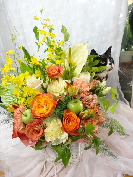 お見舞いのアレンジメント 花猫庵