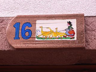 f0169885_582744.jpg