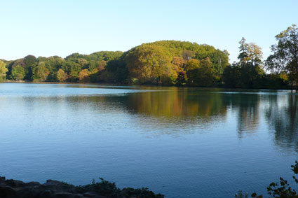 b0107891_551457.jpg