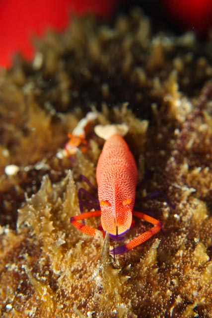 e0064291_0511192.jpg