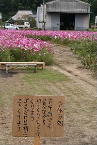 c0127494_14203921.jpg
