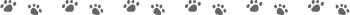 どんぐりころころ_b0198696_22342168.gif