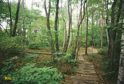 b0199199_20592371.jpg