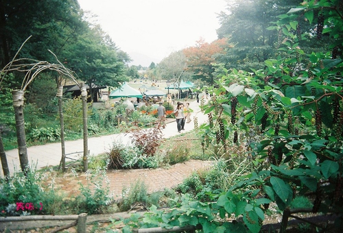 b0199199_2145612.jpg