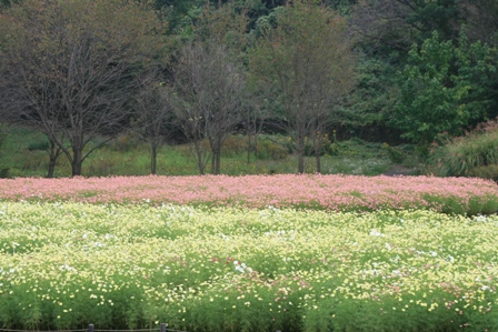 c0128303_8482395.jpg
