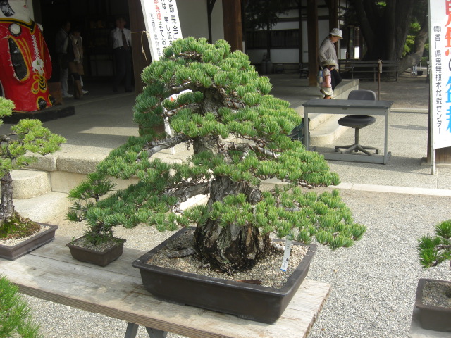 香川を観光_b0209507_17345851.jpg