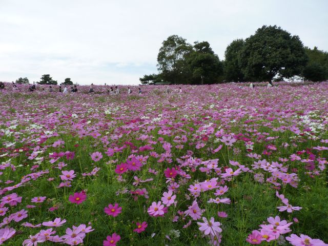 明日は池袋です_f0178313_0163863.jpg