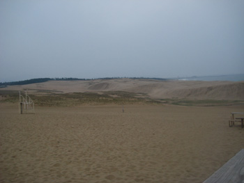 a0114816_1418225.jpg