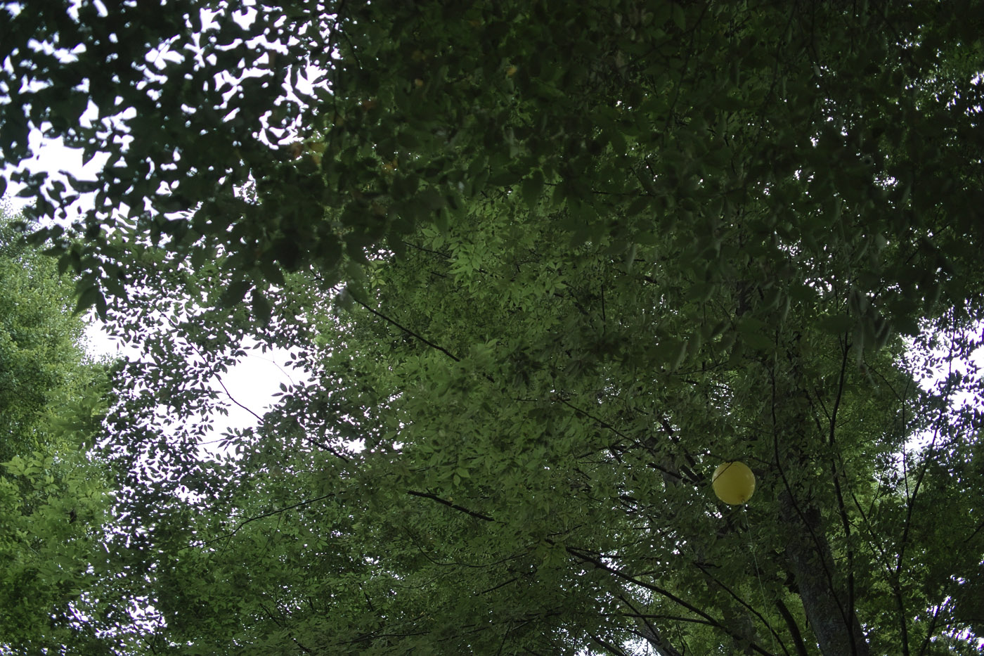 c0213117_08287.jpg