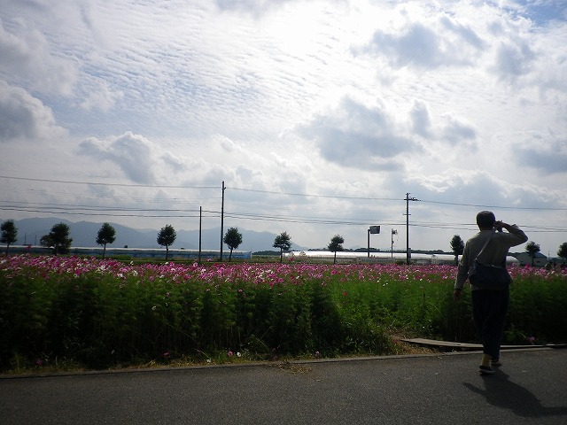 b0138522_16421295.jpg