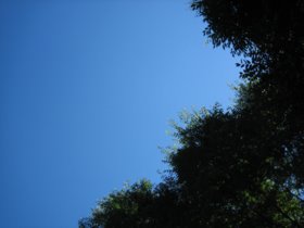 d0149223_2051296.jpg