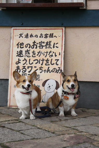 ドイツ村のあとはフランスよ(笑_e0071225_033285.jpg