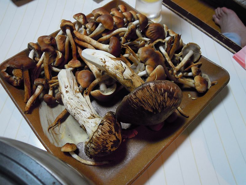 お客様感謝ディと自然の恵みへの感謝_f0076731_22341814.jpg