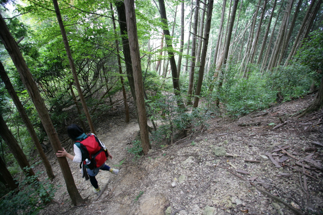 槙尾山蔵岩への道 - 後編 ： 蔵岩から施福寺への戻り方_e0210634_2142720.jpg