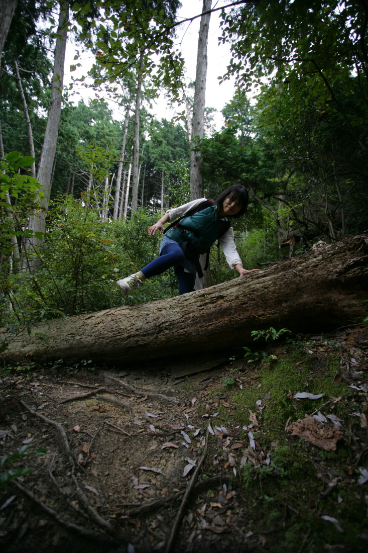 槙尾山蔵岩への道 - 後編 ： 蔵岩から施福寺への戻り方_e0210634_2151455.jpg