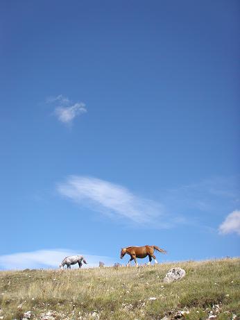 Umbria、そして大移動!_d0142837_2231467.jpg