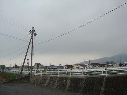 a0014840_2132965.jpg