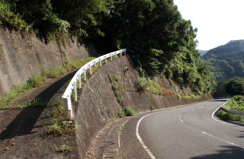 高越山・登山道「鉄塔コース」-1♪_d0058941_20484063.jpg