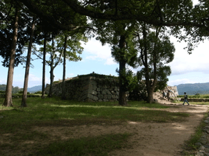 b0209142_12571578.gif