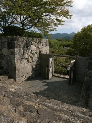 b0209142_12574569.gif