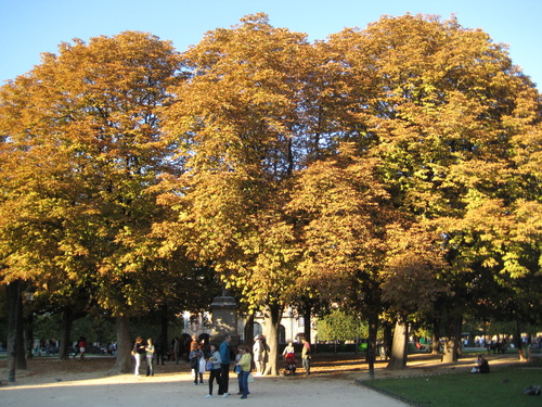 e0194142_5365913.jpg