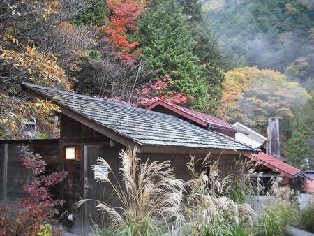 f0219043_858221.jpg